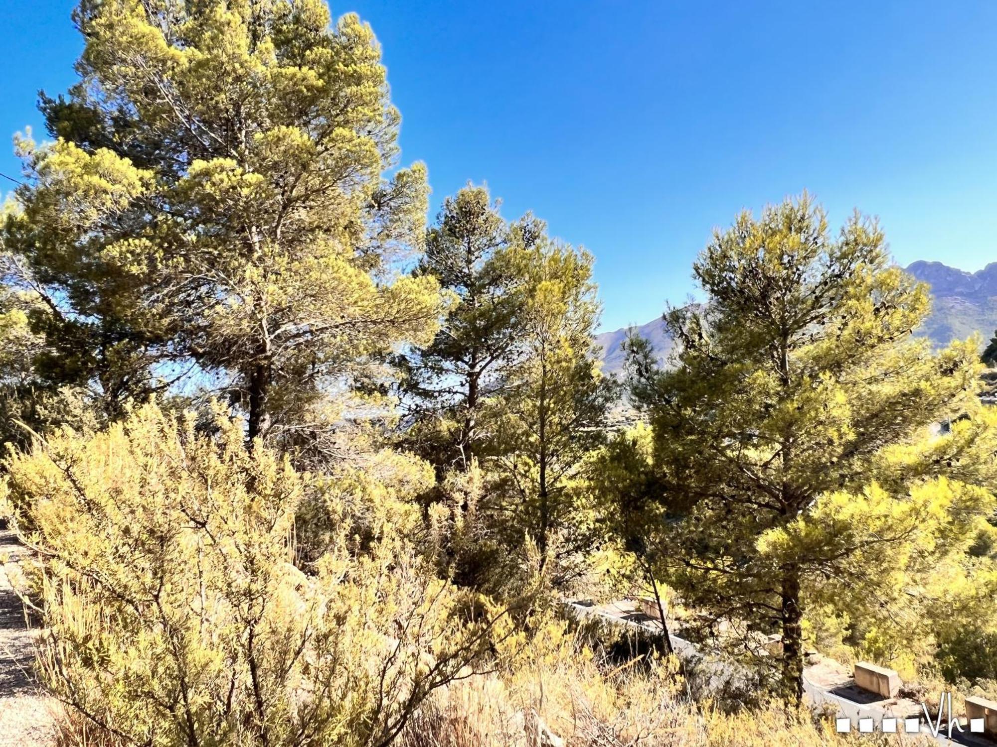 ベニッサ Vh Costablanca - Calimaヴィラ エクステリア 写真